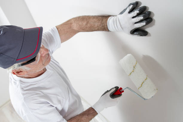 Best Basement Mold Removal  in Henderson, NC