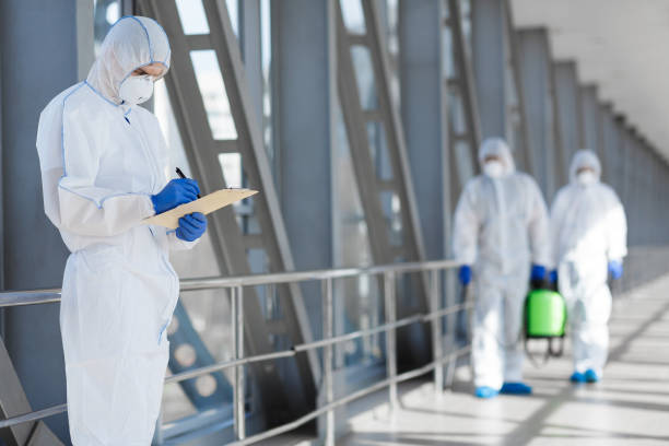 Trusted Henderson, NC Mold Removal Experts