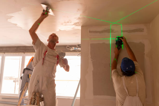 Best Mold Damage Restoration  in Henderson, NC